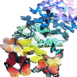 24 EDIBLE Butterflies The Original Small Assorted Rainbow Cake & Cupcake toppers Food Decorations PRECUT and Ready to Us image 1