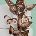 see more listings in the Schmetterlinge in verschiedenen Größen section