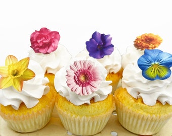 Edible Small Assorted Flowers Cake & Cupcake toppers - Food Decoration