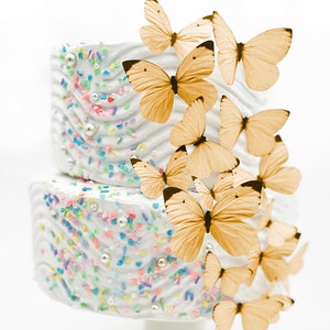 Wedding Cake Topper Edible Butterflies Pastel Choice of Color set of 15 Cake & Cupcake Toppers Food Decoration Orange