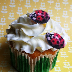 May include: A white frosted cupcake with green and white paper liner decorated with two red and black ladybug fondant toppers.