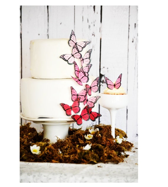Edible Ombre Monarch Butterflies - Cake and Cupcake Decorations - Food Decorations - Edible Butterflies Il_570xn