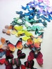 The Original EDIBLE BUTTERFLIES  - Rainbow Collection - set of 50 small - Cake & Cupcake toppers - Food Decoration 