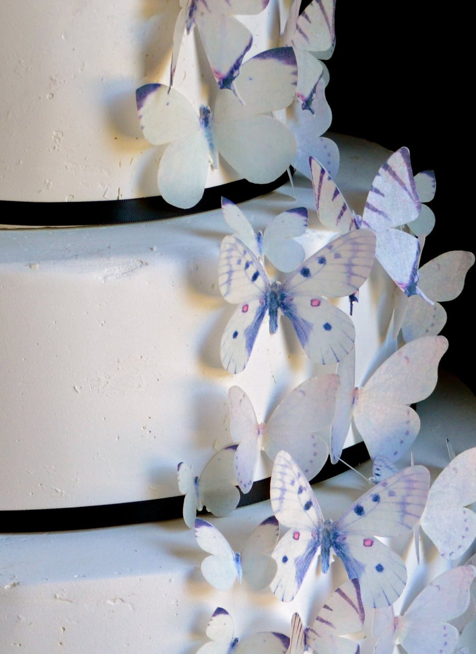EDIBLE BUTTERFLIES Cake & Cupcake Toppers Cake Decoration Etsy