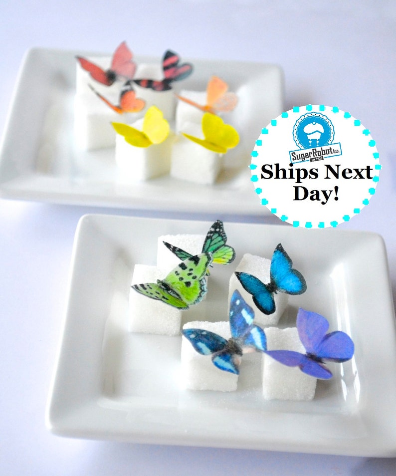 Wedding Cake Topper Itsy Bitsy Mini Edible Butterflies - Rainbow Assortment set of 48 - for Cake Decorating and Cupcake Toppers 