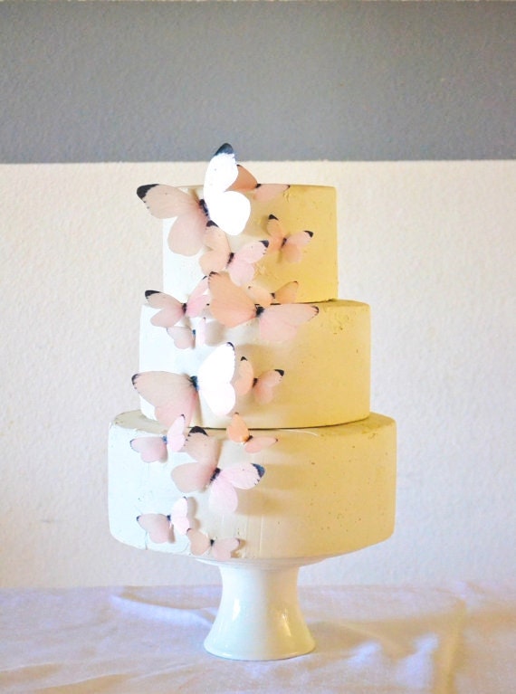 Edible Butterflies Assorted Pastel Pink or Blue- set of 15 - Cake & Cupcake Toppers - Food Decoration Wedding Cake Decoration Il_570xn