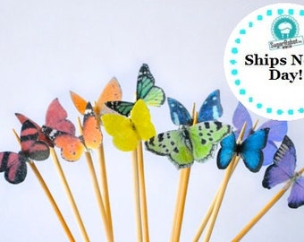 Itsy Bitsy Mini Edible Butterflies - Rainbow Assortment set of 48 - for Cake Decorating and Cupcake Toppers