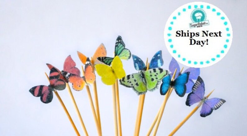 Itsy Bitsy Mini Edible Butterflies - Rainbow Assortment set of 48 - for Cake Decorating and Cupcake Toppers 