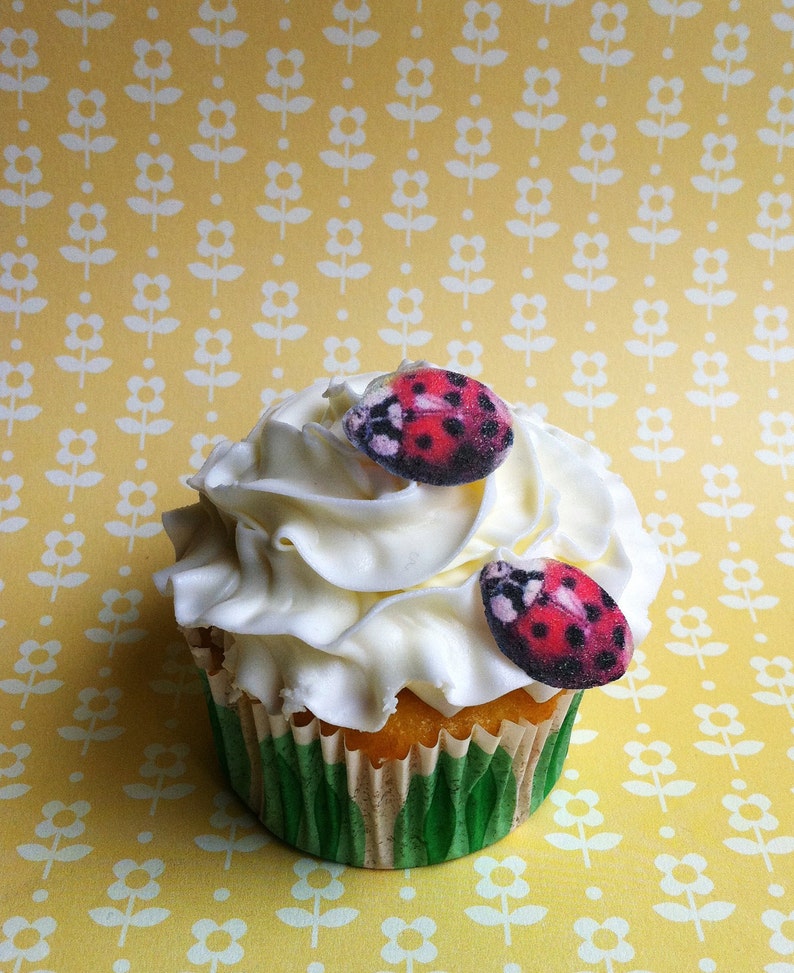 Edible Lady Bugs Cake &amp; Cupcake toppers Food Etsy