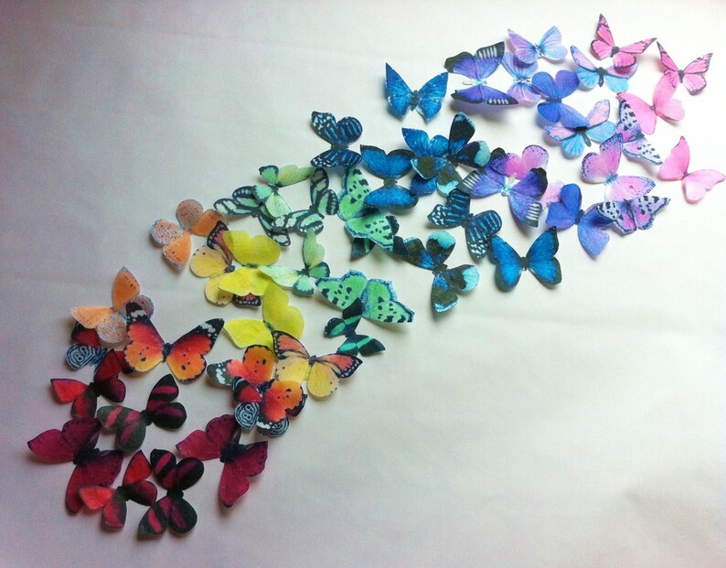 The Original EDIBLE BUTTERFLIES Rainbow Collection Set of Etsy