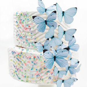 Wedding Cake Topper Edible Butterflies Pastel Choice of Color set of 15 Cake & Cupcake Toppers Food Decoration Blue