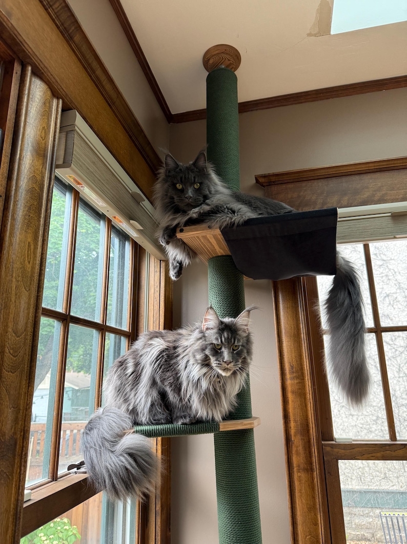 Natural Floor to Ceiling Cat Tree with Hammock & Bed. Tension Mounted and No-drill Installation Tower for Large Cats. Modern Cat Furniture Black & Green Cotton