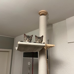 May include: Two tabby kittens peek over the edge of a cat tree platform. The cat tree has a beige sisal scratching post, a wooden shelf, and a hanging rope toy. The kittens have gray and brown striped fur.