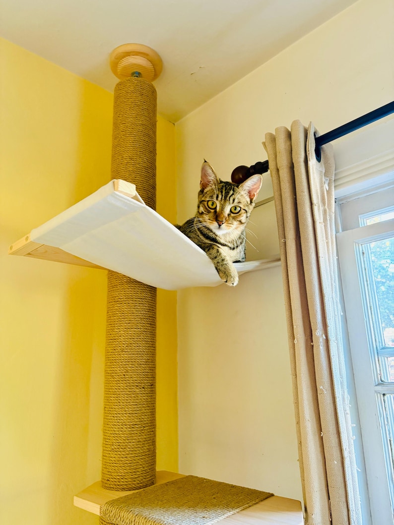 May include: A cat perched on a cat tree with a sisal-wrapped post and a white hammock-style bed. The cat has brown and black stripes and is looking at the camera. The cat tree is mounted on a yellow wall.