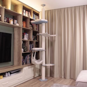May include: An off-white cat tree with multiple platforms and a hanging hammock. The platforms are light blue and white, with a soft, cushioned appearance. The cat tree is set against a backdrop of a bookshelf and beige curtains.