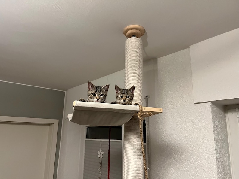 Tension Mounted Large Cat Tree with 2 Cat Hammocks, Floor to Ceiling Cat Tree Tower, Wooden Cat Tree with No-drill Installation White & Cotton White