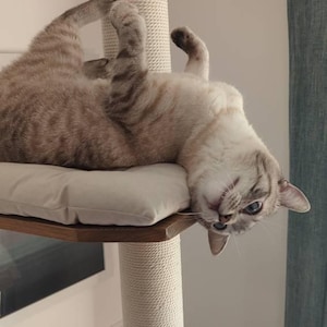 Natural Cat Tree Tower – Modern Cat Furniture with Cushion, Floor to Ceiling Cat Tower for Large Cats, No-drill Tension Mounted Installation image 11