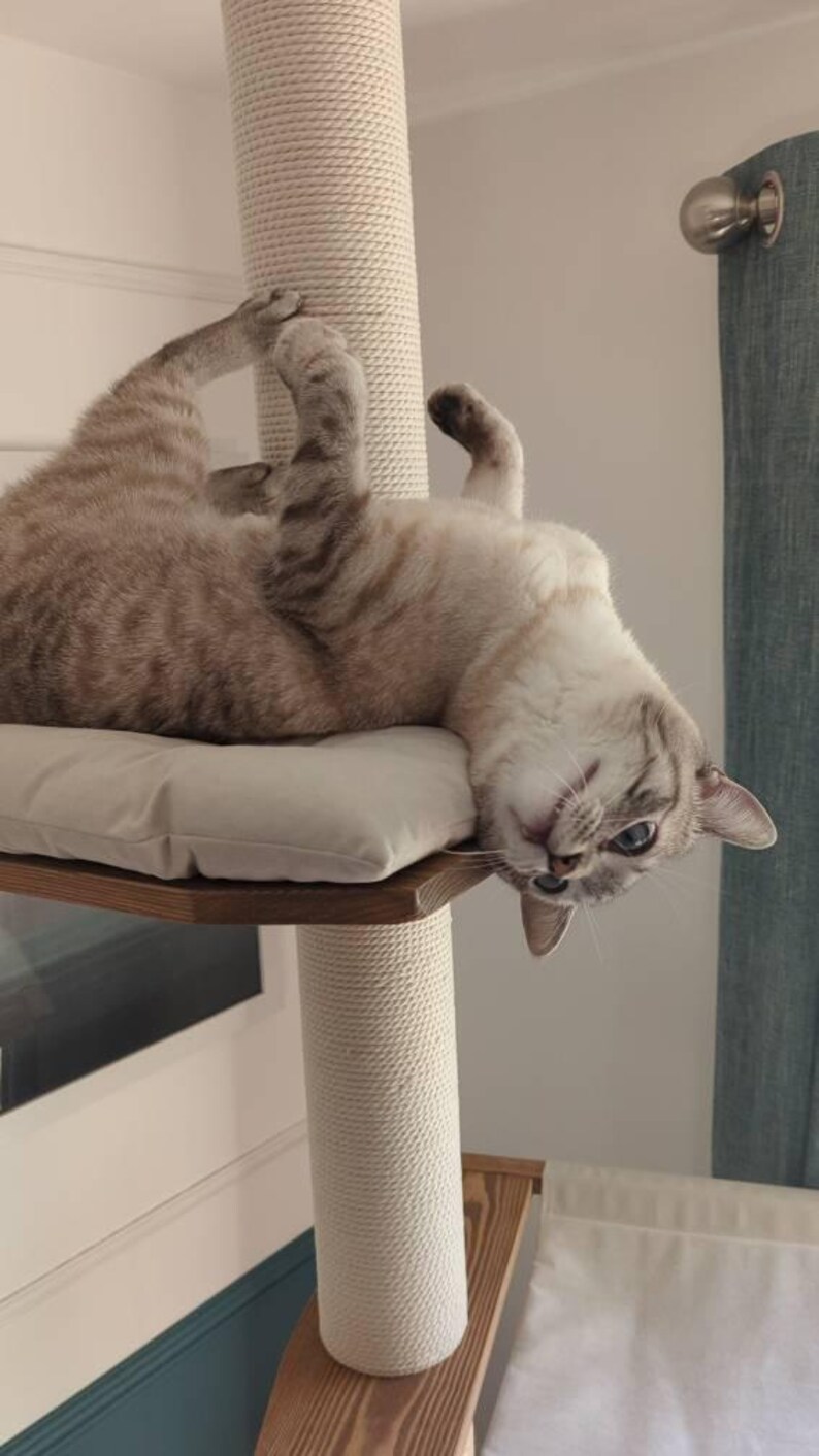 Natural Cat Tree Tower – Modern Cat Furniture with Cushion, Floor to Ceiling Cat Tower for Large Cats, No-drill Tension Mounted Installation image 11