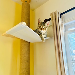 Natural Floor to Ceiling Cat Tree with Hammock & Bed. Tension Mounted and No-drill Installation Tower for Large Cats. Modern Cat Furniture White & Natural Jute