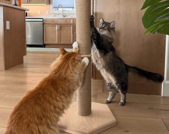 Tall Wooden Cat Scratcher Post – Modern Cat Furniture, Natural Cat Scratch Pole for Large Cats, Minimalist Cat Tree, Eco Cat Lover Gift