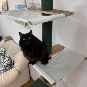 May include: A multi-level cat tree with a black cat. The cat tree has wooden platforms, a green sisal scratching post, and white hammock-style beds. The cat is sitting on the edge of the cat tree, looking at the camera.