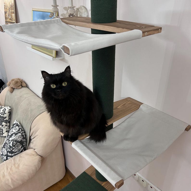 May include: A multi-level cat tree with a black cat. The cat tree has wooden platforms, a green sisal scratching post, and white hammock-style beds. The cat is sitting on the edge of the cat tree, looking at the camera.
