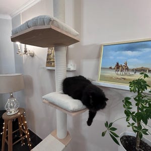 Adjustable Floor to Ceiling Cat Tree, Modern Cat Tower, Two Beds image 11