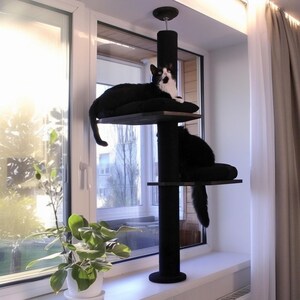Lit pour chat fixé sur la fenêtre avec griffoir et coussin - étagère en pin sans perçage