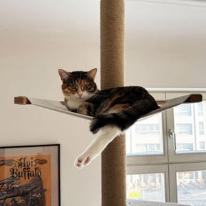 Comfortable Cat Hammock, Floor to Ceiling Cat Tree, Durable Fabric