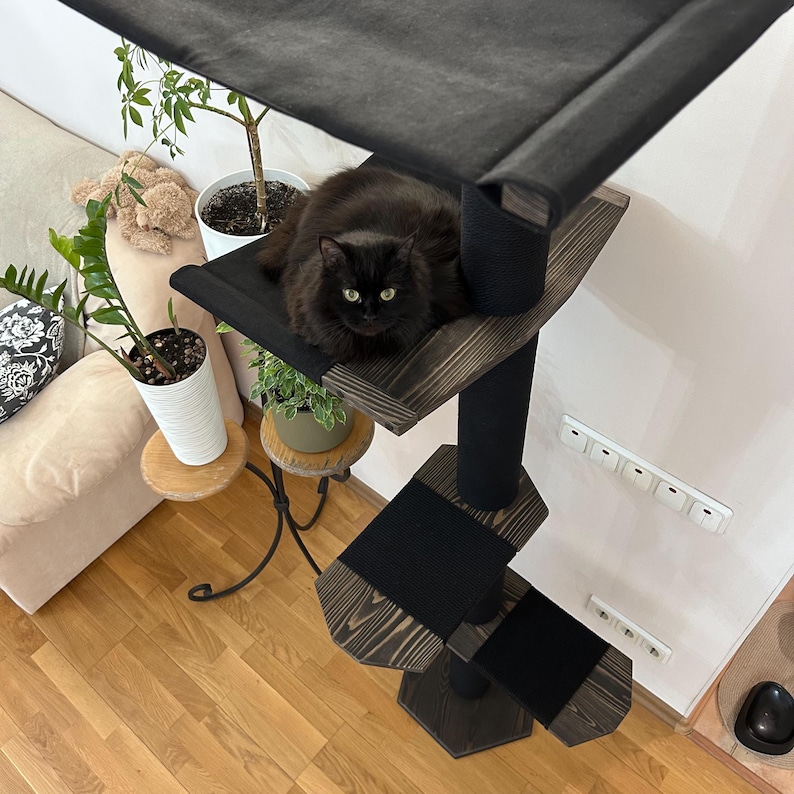May include: A multi-level cat tree with a black cat resting on the top platform. The cat tree is made of dark wood and black fabric, with multiple platforms and a scratching post. The cat has green eyes and dark fur.