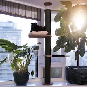 Adjustable Cat Window Perch – Pine Wood, Rope Climber, Upholstery Cushion