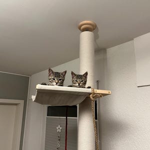 Natural Floor to Ceiling Cat Tree with Hammock & Bed. Tension Mounted and No-drill Installation Tower for Large Cats. Modern Cat Furniture image 11