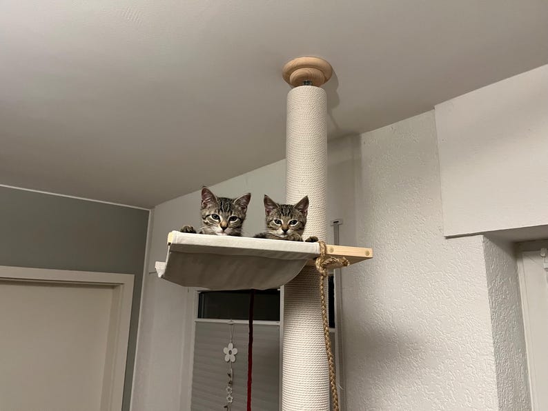Natural Floor to Ceiling Cat Tree with Hammock & Bed. Tension Mounted and No-drill Installation Tower for Large Cats. Modern Cat Furniture image 11