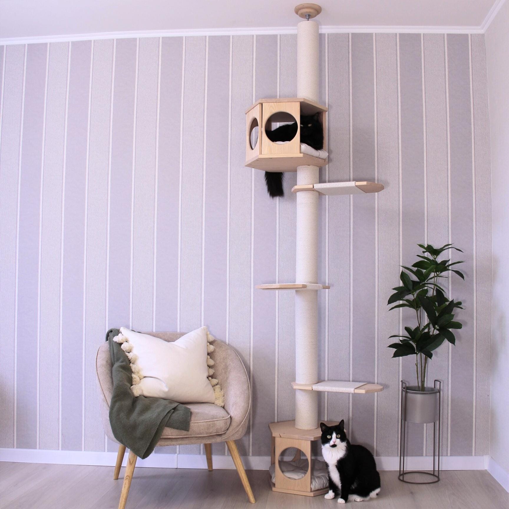 Pet Supplies Whisker City Cat Tree Amazon Cat Litter Whisker City