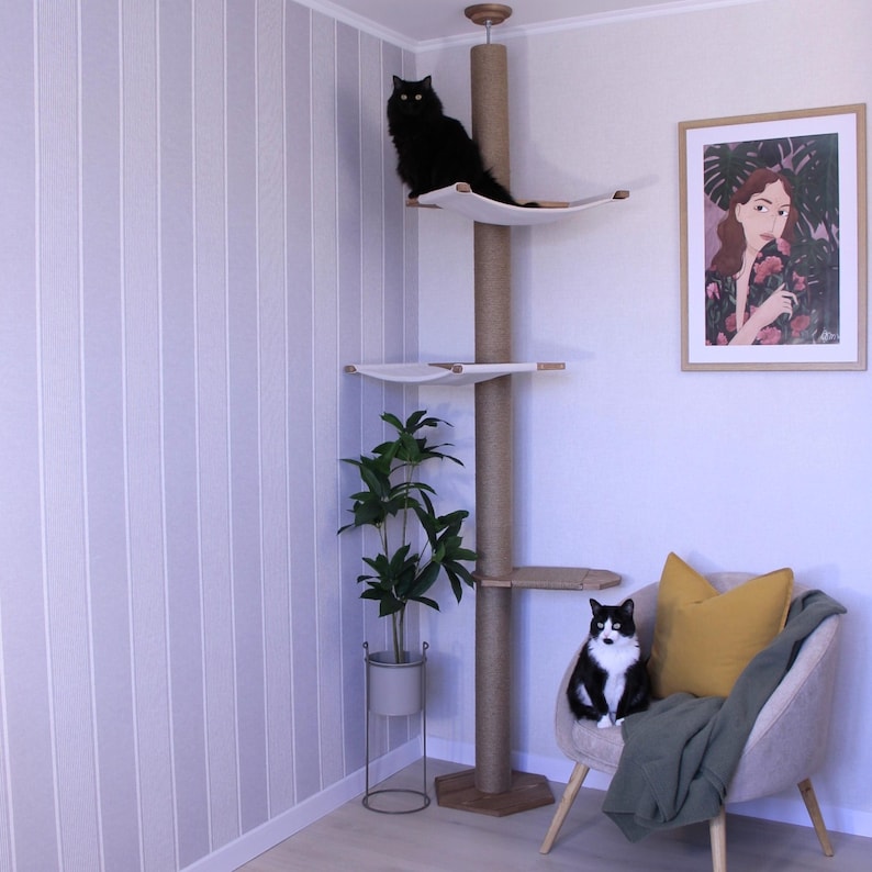 May include: A tall cat tree with multiple platforms and a scratching post. A black cat sits on the top platform, and a black and white cat sits in a chair. A framed artwork and a potted plant are also in the room.