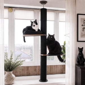 Pode incluir: Uma árvore para gatos do chão ao teto com um poste central coberto de carpete preto e duas plataformas de madeira. Um gato preto e branco descansa na plataforma superior, enquanto um gato preto fofo está sentado na plataforma inferior.