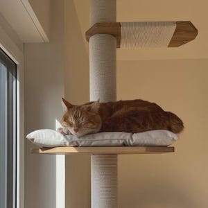Natural Cat Tree Tower – Modern Cat Furniture with Cushion, Floor to Ceiling Cat Tower for Large Cats, No-drill Tension Mounted Installation image 9