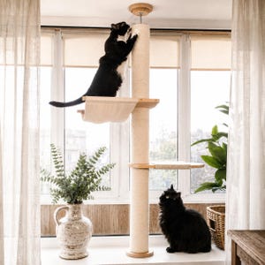 Pode incluir: Uma árvore para gatos do chão ao teto com um poste vertical central envolto em corda de sisal bege claro, duas plataformas de madeira e uma rede de tecido suspensa. Um gato preto e branco sobe no poste enquanto um gato preto senta na base.