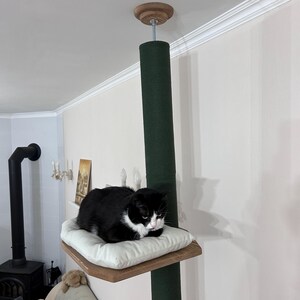 Natural Cat Tree Tower – Modern Cat Furniture with Cushion, Floor to Ceiling Cat Tower for Large Cats, No-drill Tension Mounted Installation image 12