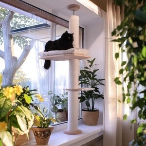 Perchoir pour chat moderne pour fenêtre - Lit pour chat en pin, poteau à grimper en jute, montage sans perçage