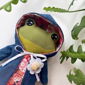 Frog , frog toy, frog doll,handmade doll, cloth doll,amphibian toy, stuffed toy,soft toy,rainforest gift