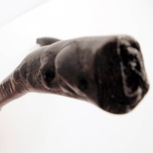 May include: A close-up of a dark brown, wooden walking stick with a curved handle.