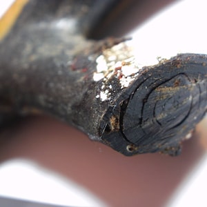 May include: Close-up of a dark brown wooden handle with a circular cross-section. The handle has a rough, textured surface and shows signs of wear and tear.