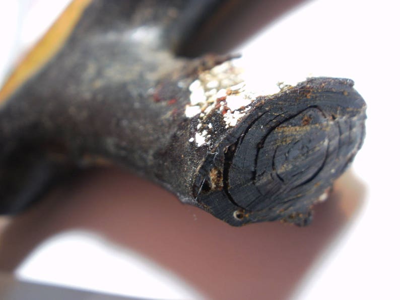 May include: Close-up of a dark brown wooden handle with a circular cross-section. The handle has a rough, textured surface and shows signs of wear and tear.