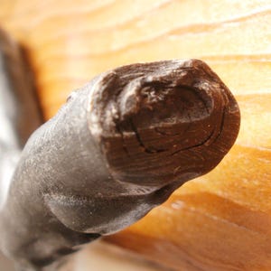 May include: Close-up of a dark brown wooden handle with a rough, textured surface. The handle is curved and has a slight bend.