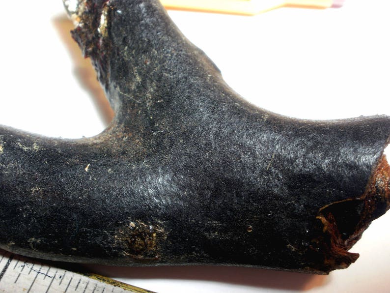 May include: A dark brown, weathered, and gnarled piece of wood with a rough texture. The wood has a natural, rustic look and is shaped like a branch.