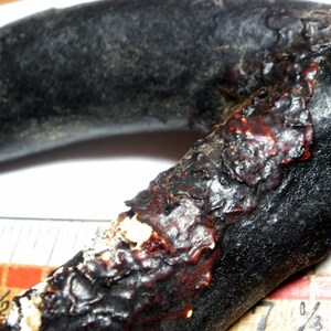 May include: A close-up of a dark brown, curved, wooden object with a reddish-brown, textured surface. The object appears to be a piece of driftwood or a natural material.