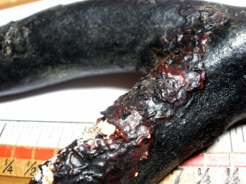 May include: A close-up of a dark brown, curved, wooden object with a reddish-brown, textured surface. The object appears to be a piece of driftwood or a natural material.
