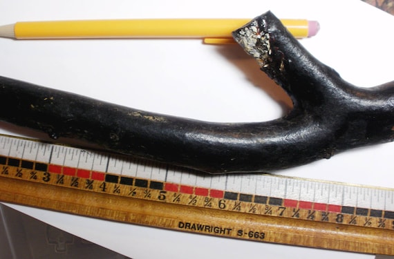 Rare Antipatharia Black Coral Branch THICK Specimen Collected 1960s deep water Hawaiian old stock Collectible Specimen Lapidary Rough