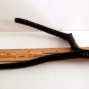 May include: A black wooden branch with a Y-shaped fork, measuring approximately 8 inches in length. The branch is lying on a white surface with a ruler underneath.